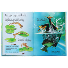 Load image into Gallery viewer, Usborne Beginners Nature 10 Books Box Set Collection - Ages 9-14 - Hardback