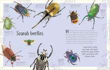 Load image into Gallery viewer, An Anthology of Remarkable Bugs: Discover the Hidden Wonders of the Insect World (DK Children's Anthologies) by Jess French - Ages 7+ - Hardback