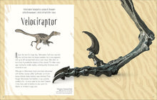 Load image into Gallery viewer, Dinosaurs and Other Prehistoric Life (DK Children's Anthologies) by Prof Anusuya Chinsamy-Turan - Ages 6+ - Hardback