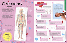 Load image into Gallery viewer, The Fact-Packed Activity Book: Human Body by DK - Ages 5+ - Paperback