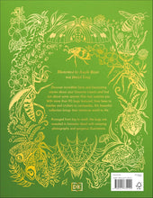 Load image into Gallery viewer, An Anthology of Remarkable Bugs: Discover the Hidden Wonders of the Insect World (DK Children's Anthologies) by Jess French - Ages 7+ - Hardback