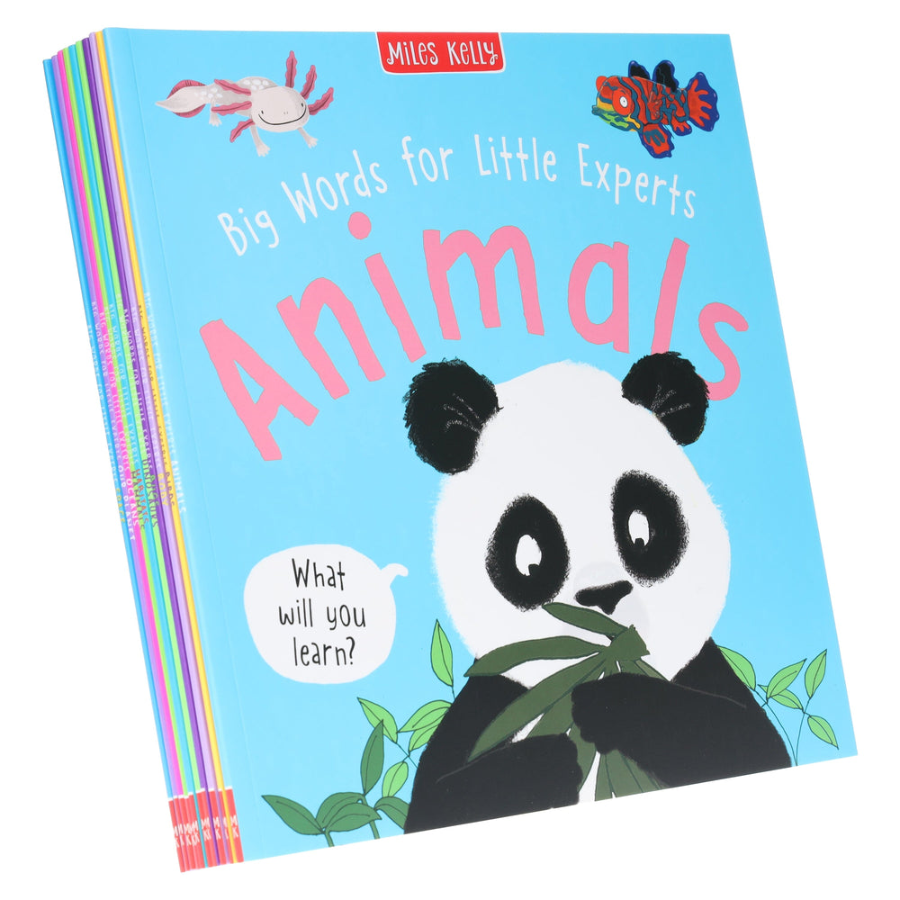 Big Words for Little Experts By Miles Kelly: 10 Books Collection Set - Ages 2+ - Paperback - Bangzo Books Wholesale
