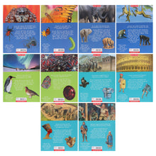 Load image into Gallery viewer, 526793db-eac3-40f2-a404-c8cd9f323f61