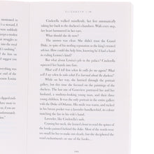 Load image into Gallery viewer, Disney Princess Twisted Tales Series 5 Books Collection Set - Ages 9+ - Paperback