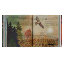 Load image into Gallery viewer, Fiona Waters Poetry Collections 2 Books Set (I Am the Seed That Grew the Tree &amp; Tiger, Tiger, Burning Bright!) - Ages 4-11 - Hardback