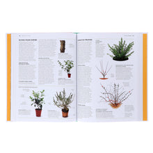 Load image into Gallery viewer, RHS Pruning and Training (New Edition): What, When, and How to Prune - Non Fiction - Hardback