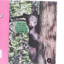 Load image into Gallery viewer, Introduction to Nature and Geography by Jasmine Brooke 20 Book Collection Box Set - Ages 7+ - Paperback