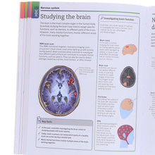 Load image into Gallery viewer, Super Simple: Biology: The Ultimate Bitesize Study Guide By DK - Non Fiction - Paperback