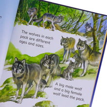 Load image into Gallery viewer, Usborne Beginners Animals Series 10 Books Collection Box Set - Ages 4+ - Hardback