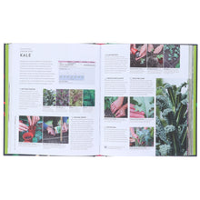 Load image into Gallery viewer, RHS Step-by-Step Veg Patch: A Foolproof Guide to Every Stage of Growing Fruit and Veg by Lucy Chamberlain - Non Fiction - Hardback