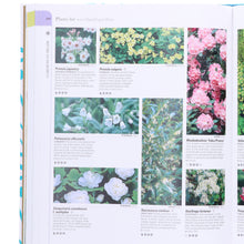 Load image into Gallery viewer, RHS: What Plant Where Encyclopedia: by The Royal Horticultural Society - Non Fiction - Hardback