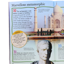 Load image into Gallery viewer, 5d5a8561-8077-4aae-abfe-c48c6c9d40fe