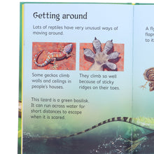 Load image into Gallery viewer, Usborne Beginners Series 30 Books Collection Box Set (Nature, Science &amp; Animals) - Ages 4-10 - Hardback