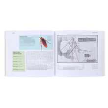 Load image into Gallery viewer, A Degree in a Book: Psychology By Dr Alan Porter - Non Fiction - Paperback