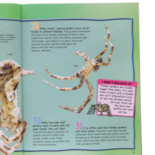 Load image into Gallery viewer, f2e3b2cc-0d4d-48b9-ab6e-51398c71b59e