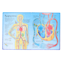 Load image into Gallery viewer, An Usborne Flap Book: See Inside Your Body: With Over 50 Flaps to Lift by Katie Daynes &amp; Colin King - Ages 6+ - Board Book