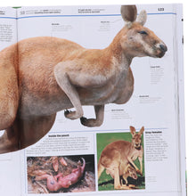 Load image into Gallery viewer, 8e30d879-66c4-4292-89bb-48edebcfeb61