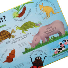 Load image into Gallery viewer, Lift-the-flap Questions and Answers 5 books by Katie Daynes Ages 0-5 – Hard Book