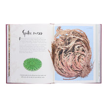 Load image into Gallery viewer, The Wonders of Nature by Ben Hoare (DK Children's Anthologies) - Ages 6-8 - Hardback