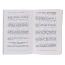 Load image into Gallery viewer, The Brain: The Story of You by David Eagleman - Non Fiction - Paperback