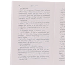 Load image into Gallery viewer, Delirium: The Complete 4 Books Collection By Lauren Oliver - Young Adult - Paperback