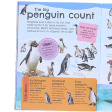Load image into Gallery viewer, The Fact-Packed Activity Book: Animals by DK - Ages 5+ - Paperback