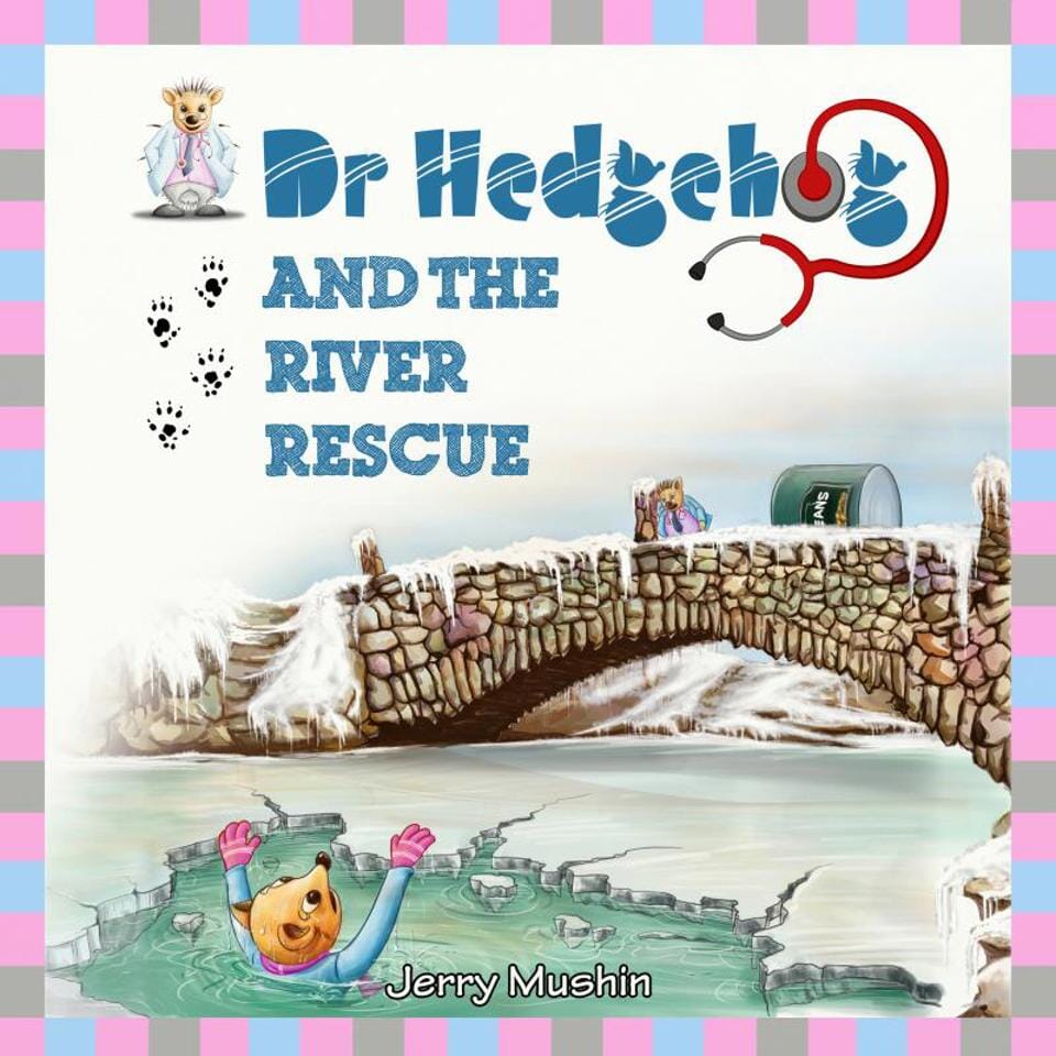 Dr Hedgehog & The River Rescue - OP by Jerry Mushin - Paperback - Bangzo Books Wholesale