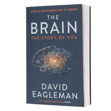 Load image into Gallery viewer, The Brain: The Story of You by David Eagleman - Non Fiction - Paperback