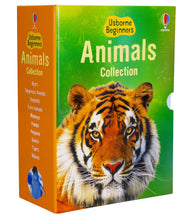 Load image into Gallery viewer, Usborne Beginners Animals Series 10 Books Collection Box Set - Ages 4+ - Hardback