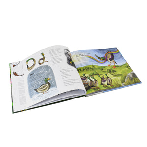 Animalphabetical Adventures Children Book Hardback By Kinga White